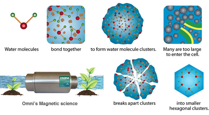 Water Vortex Magnetizer - Water Structuring & Energizing 